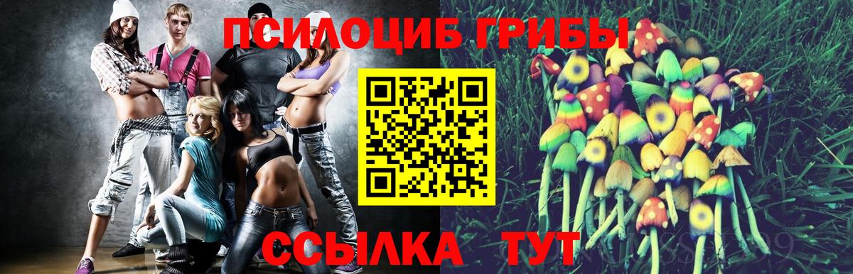 Псилоцибиновые грибы мицелий  Псилоцибиновые грибы Cubensis  Строитель  Вход с VPN 